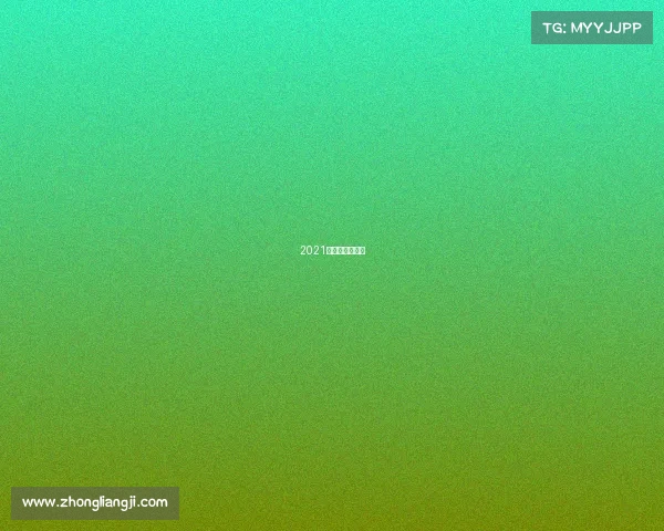 2021年网络武术比赛