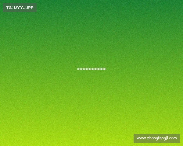 搏击赛事优势闪耀竞技场激情对决潜力无限